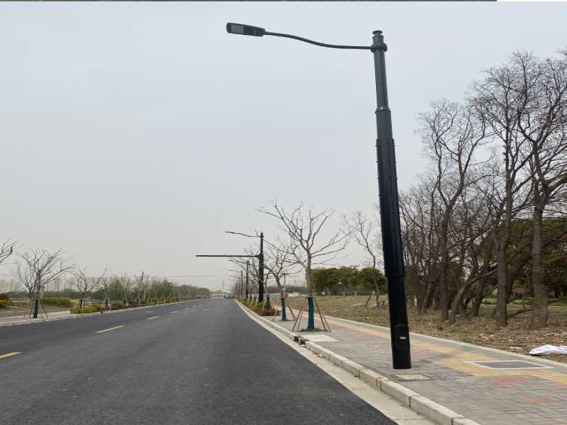 信宜市上海综合杆 太阳能路灯工程